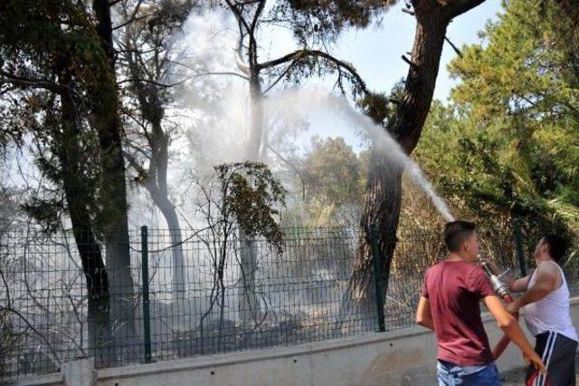 Antalya'da Orman Yangını