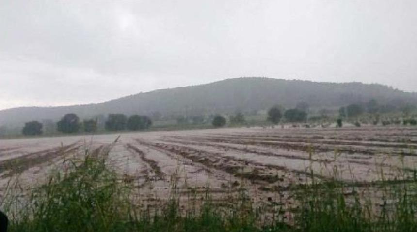 Haziran Ayı &Uuml;reticiyi Vurdu