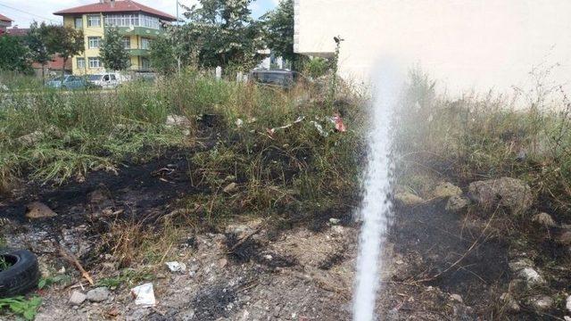 Tutuşan Otları İtfaiye Ekipleri Söndürdü