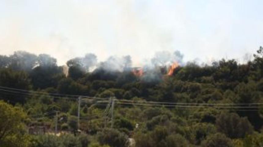 İzmir&rsquo;de Korkutan Yangın