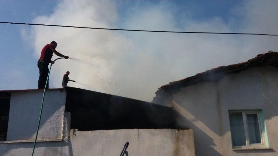 &Uuml;&ccedil; Binanın Zarar G&ouml;rd&uuml;ğ&uuml; Yanında Hayvanlar Telef Oldu