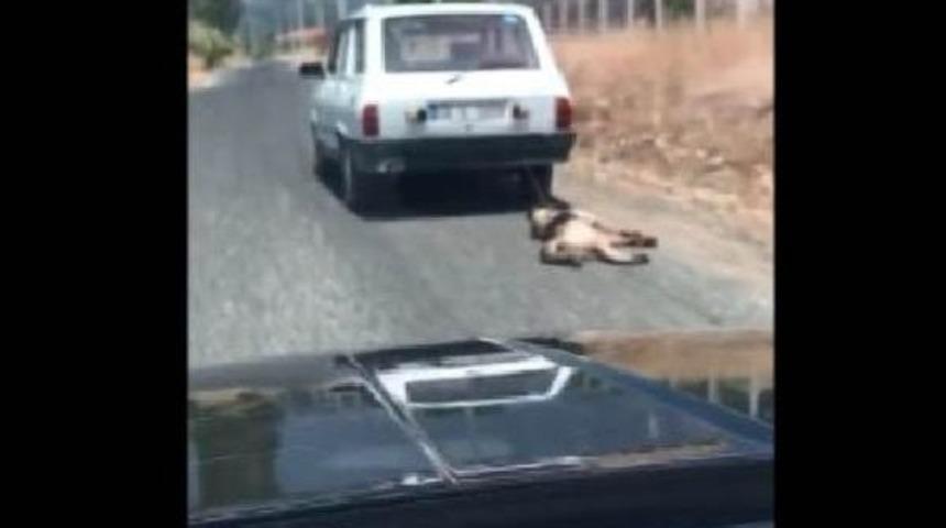 Yok B&ouml;yle Vicdansızlık!...