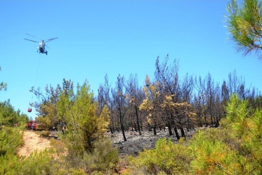 &Ccedil;ay Demlemek İsterken 2 D&ouml;n&uuml;ml&uuml;k Ormanlık Alanı K&uuml;l Ettiler