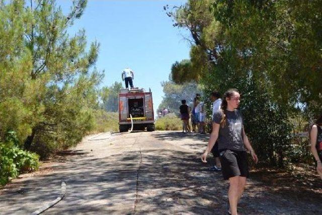 Ayvalık Adaları Tabiat Parkı'ndaki Yangın Ucuz Atlatıldı