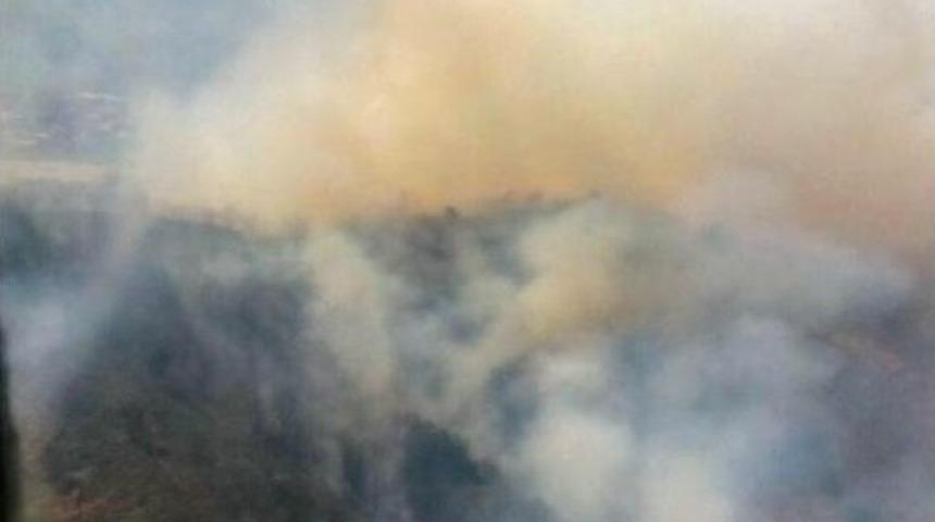 Milas'ta Tarım Alanında &Ccedil;ıkan Yangın Ormanı Da Yaktı