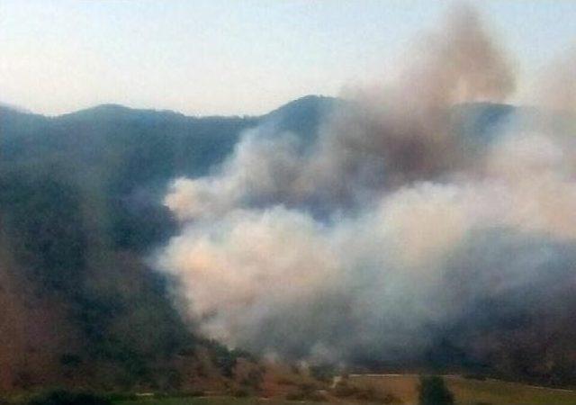 Milas'ta Tarım Alanında Çıkan Yangın Ormanı Da Yaktı