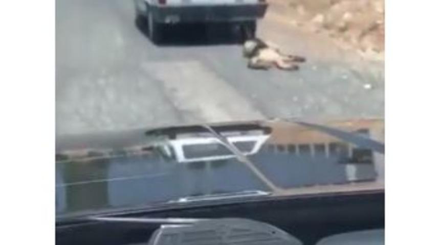 Otomobilin Arkasına Bağlanıp S&uuml;r&uuml;klenen K&ouml;pek Kurtarıldı