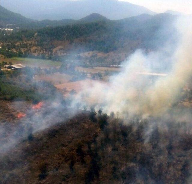 Milas’ta Ziraat Alanında Başlayan Yangın Ormanı Yaktı