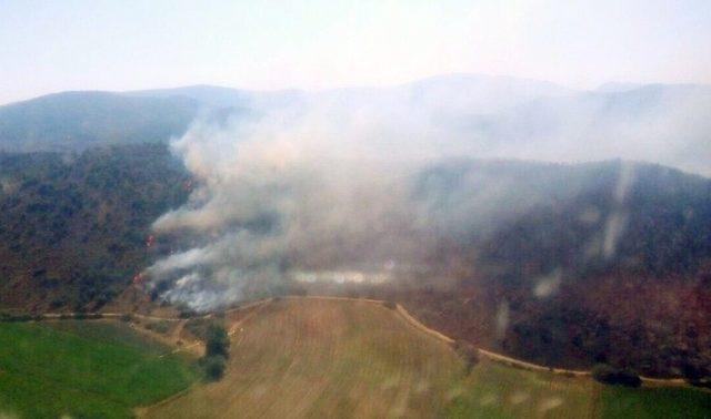 Milas’ta Ziraat Alanında Başlayan Yangın Ormanı Yaktı