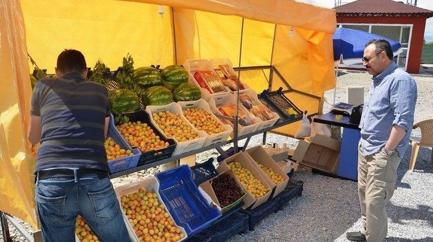 Kayısı &Uuml;reticilerinde &Ccedil;&ouml;z&uuml;m Bitmiyor