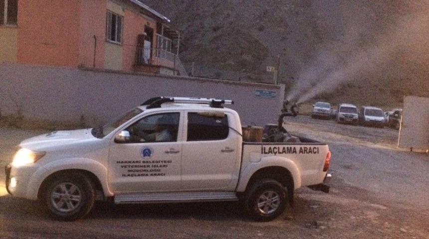 Hakkari&rsquo;de Sivrisinek, Haşerelerle M&uuml;cadele &Ccedil;alışması