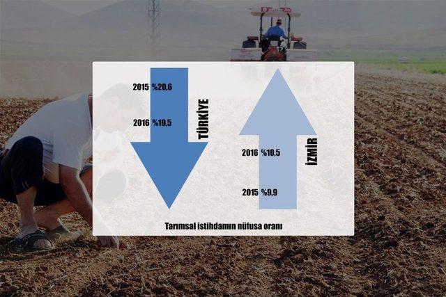 Tarımda İzmir Yükselişi