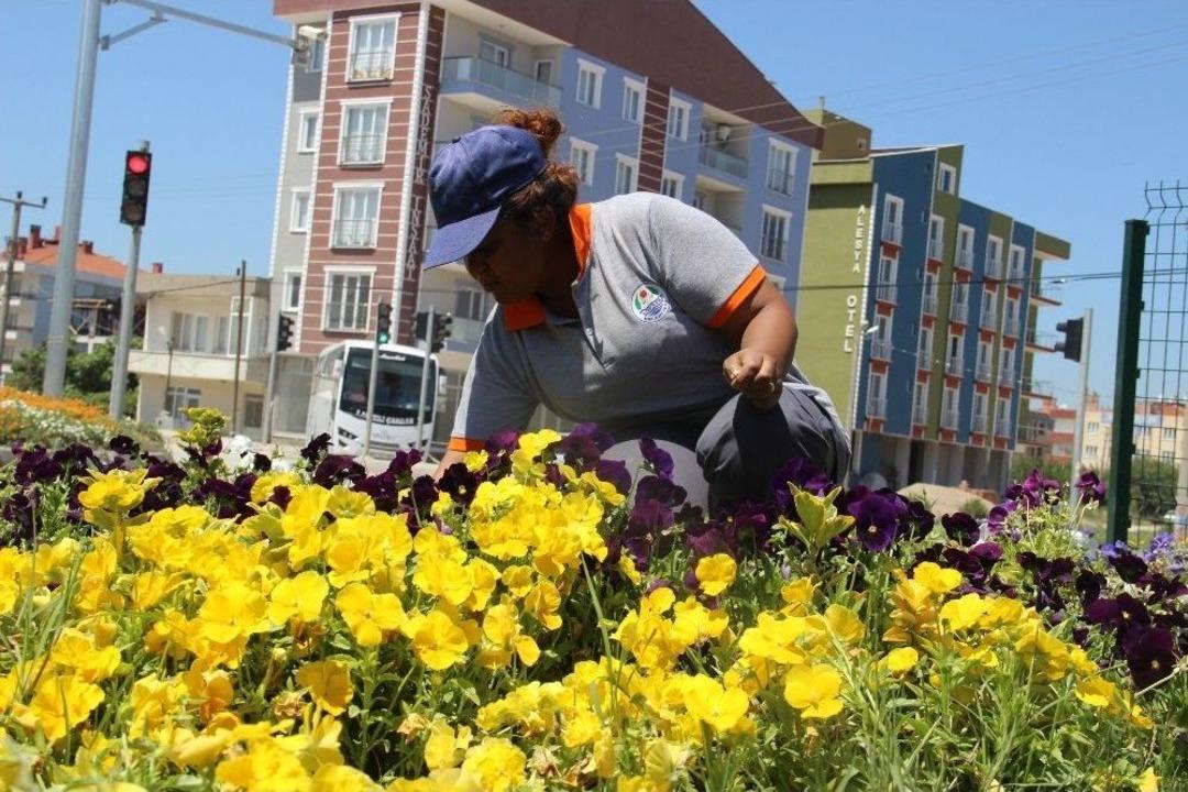 (&ouml;zel Haber) Bu İl&ccedil;eyi Kadınlar G&uuml;zelleştiriyor