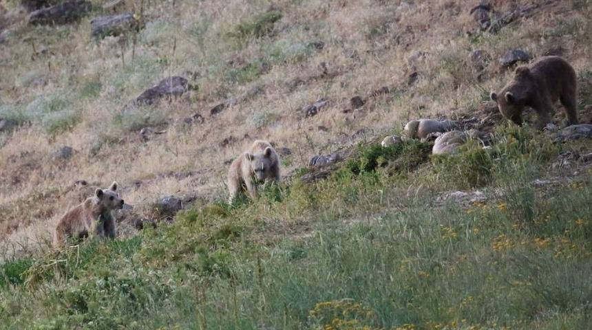 (&ouml;zel Haber) D&uuml;zg&uuml;n Baba Ziyaretgahının Doğal Yaşamdan Ziyaret&ccedil;ileri