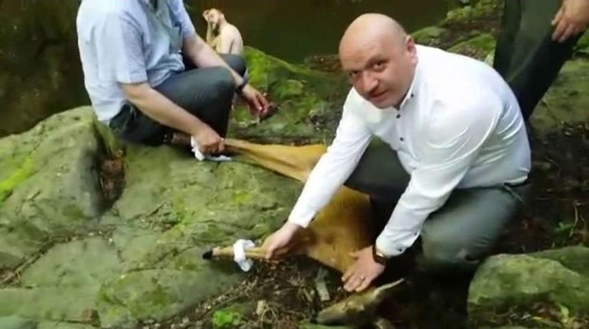 Kanyona D&uuml;şen Karacayı Kurtarma Operasyonu