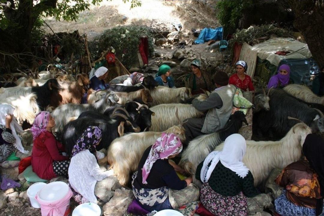 (&ouml;zel Haber) Berivanların Zorlu Bayram Mesaisi