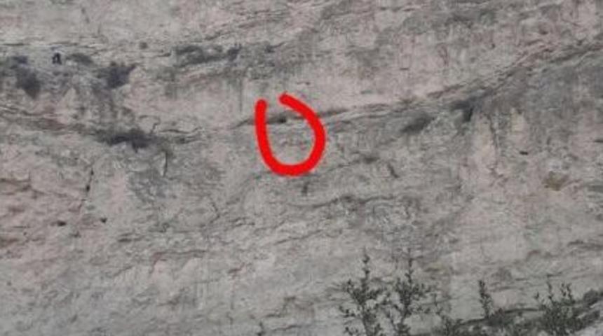 2 Yavru Ke&ccedil;i, 10 Kişilik Ekip Tarafından Kurtarıldı