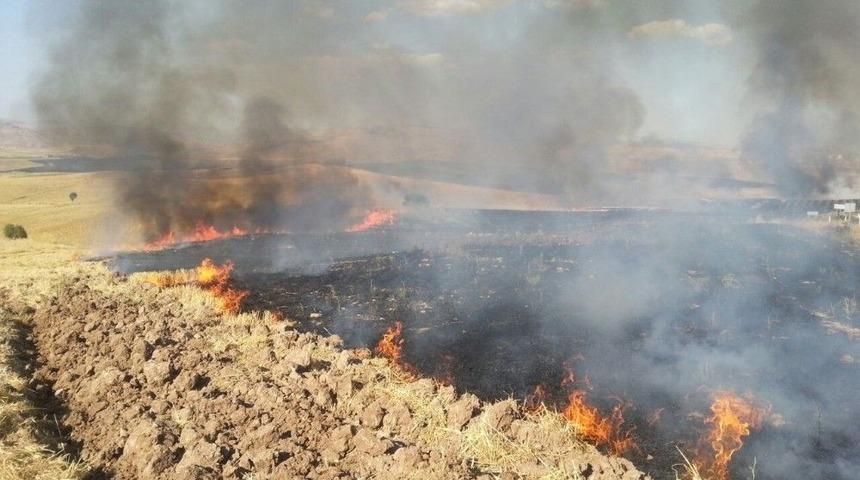 Siirt’te Anız Yangını