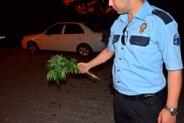 Sungurlu Polisinden Uyuşturucu Operasyonu