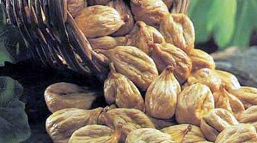 Aydın İnciri Sağlıklı &Uuml;r&uuml;n Vasfını Korumalı