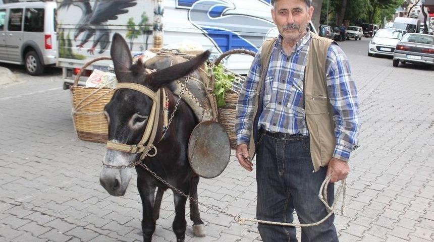 Raşit Dede, Akıllı Eşeği Sayesinde Daha Sağlıklı Olduğunu Belirtti