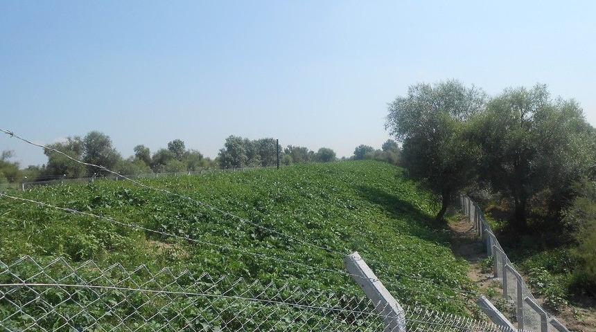 &Ccedil;&ouml;pl&uuml;kler Yeşil Alan Oluyor
