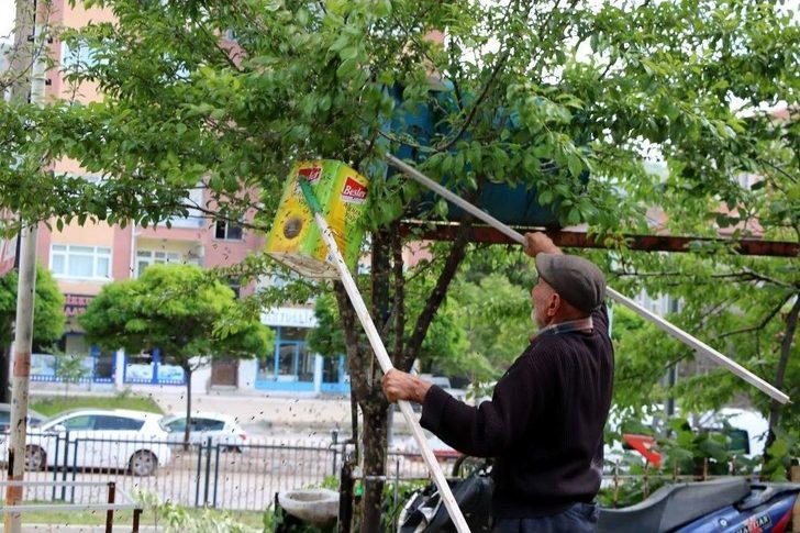 Binlerce Bal Arısını Yağ Tenekesine Doldurdu G1