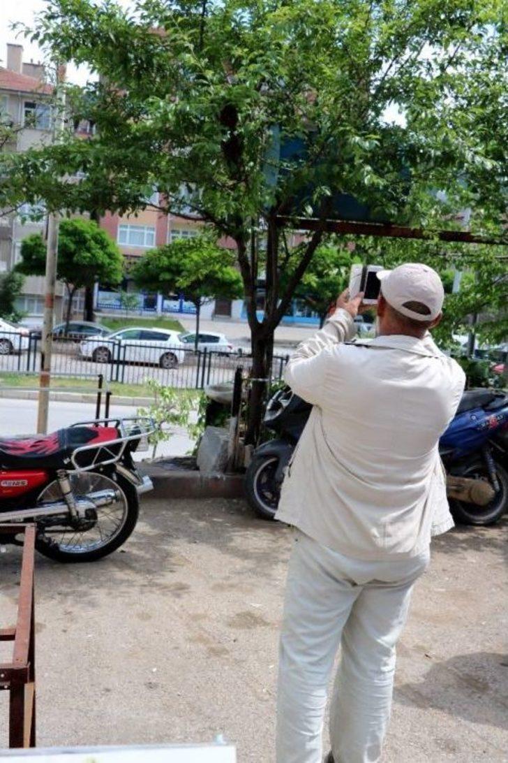 Binlerce Bal Arısını Yağ Tenekesine Doldurdu G2