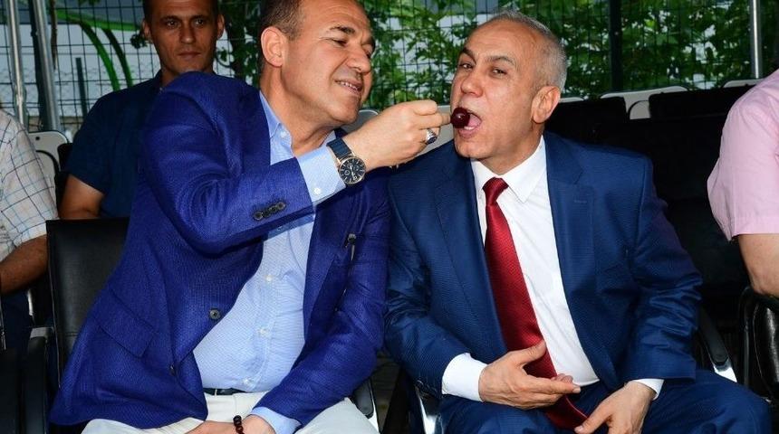 Saimbeyli K&uuml;lt&uuml;r Sanat Ve Kiraz Festivali