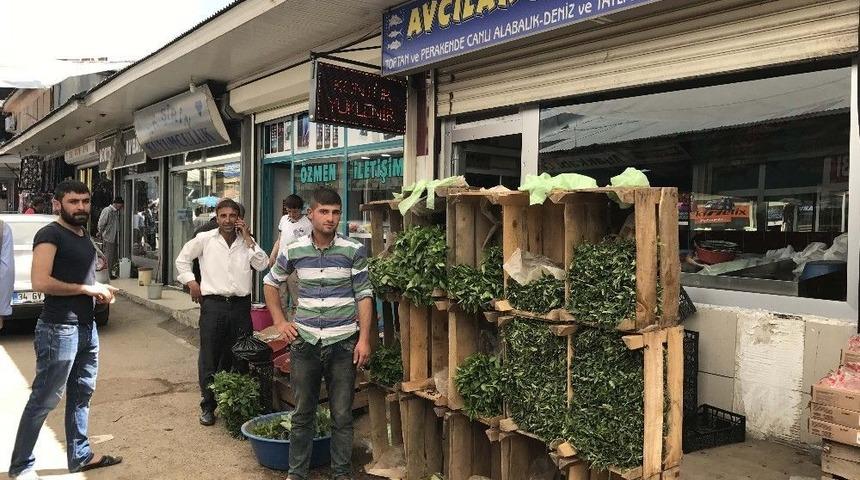 Balık&ccedil;ılık Bitti, Fide Satışı Başladı