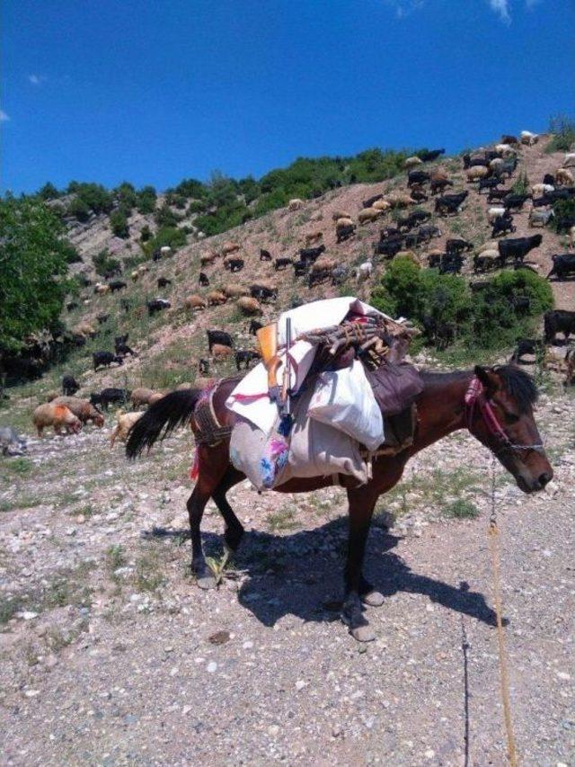 Göçerlerin 6 Aylık Hasreti Bitti