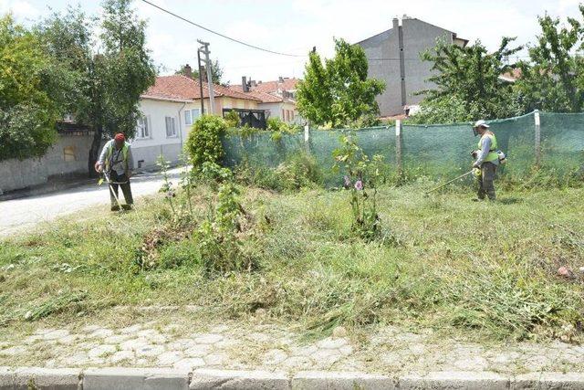 Daha Temiz Bir Tepebaşı İçin