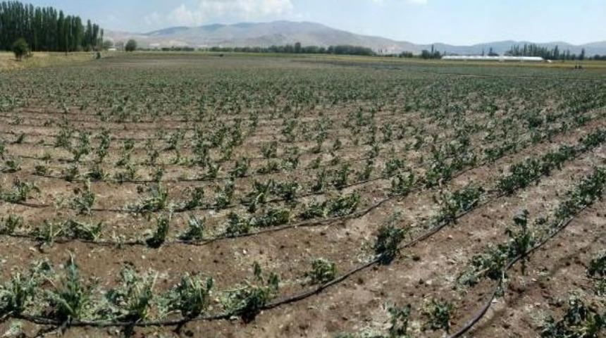 Korkuteli'de Tarım Arazilerini Dolu Yağışı Vurdu