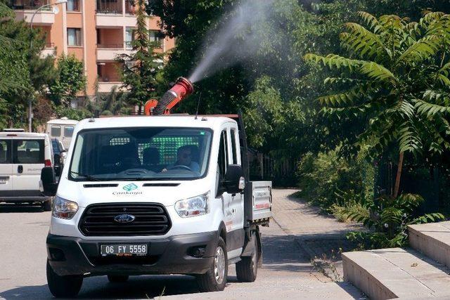 Çankaya’da Haşereyle Mücadelede Yoğun Mesai Başladı