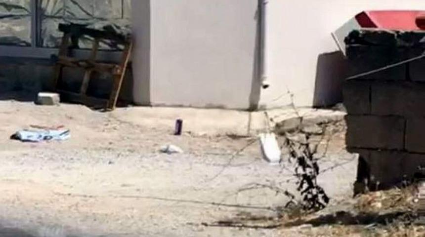 Yılanların &Ccedil;iftleşme Dansı B&uuml;y&uuml;ledi