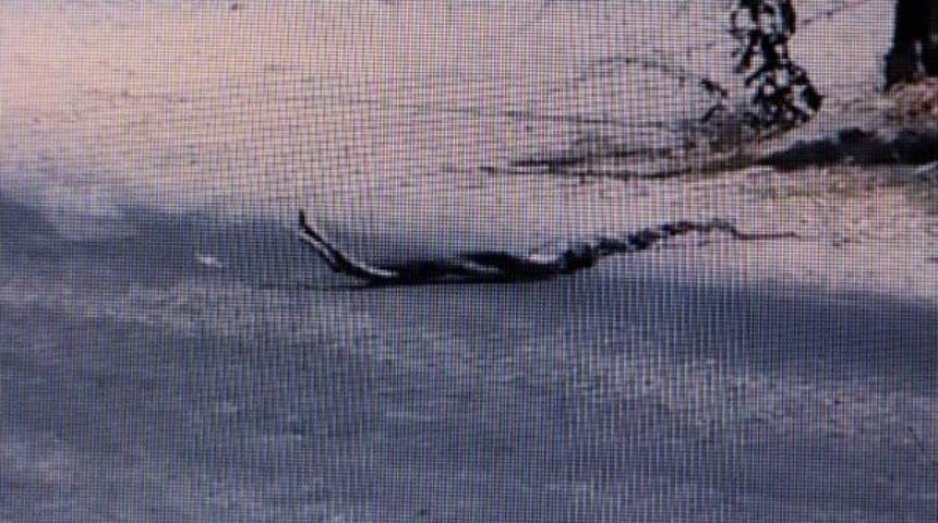 Yılanların Dansını G&ouml;r&uuml;nt&uuml;ledi