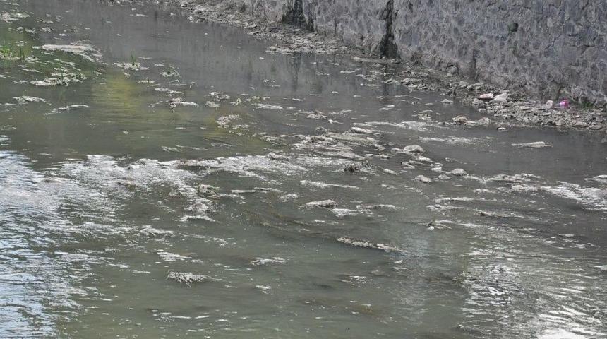 Havalar Isındı, Kars &Ccedil;ayı Kokmaya Başladı