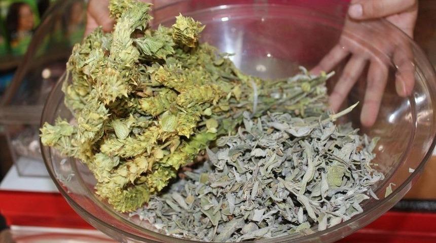 Sıcakta Ada &Ccedil;ayına Yoğun İlgi