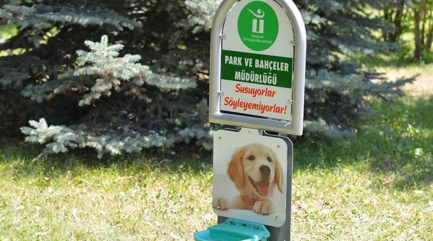 &rsquo;bir Kap Su Bırakın&rsquo; &Ccedil;ağrısı