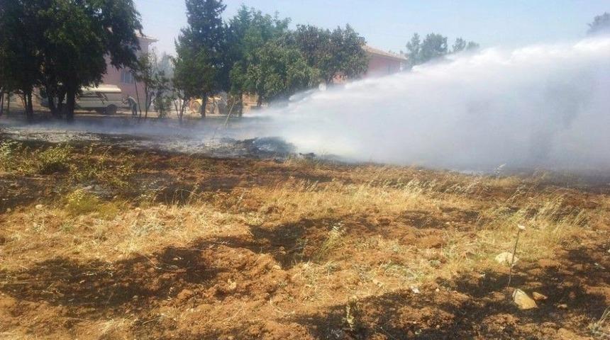 Mardin&rsquo;de Ağa&ccedil;lık Alanda Yangın