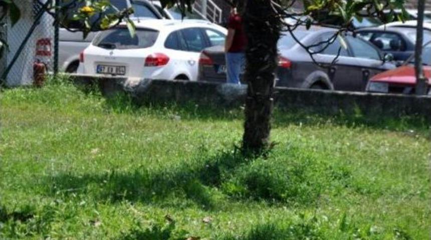 Zonguldak&rsquo;Ta Sıcak Hava Bunalttı