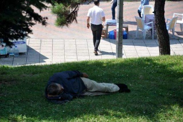 Zonguldak’Ta Sıcak Hava Bunalttı