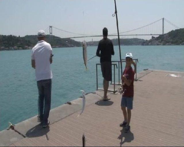 İstanbul'un En Sıcak Günü