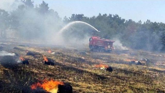 Tarım Arazisindeki Yangın Ormanı Da Yaktı