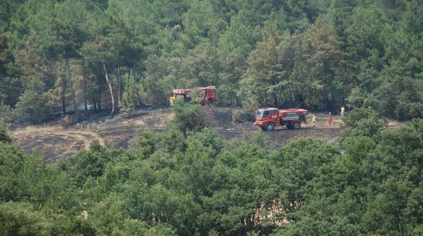 &Ccedil;anakkale&rsquo;de Arazi Yangını
