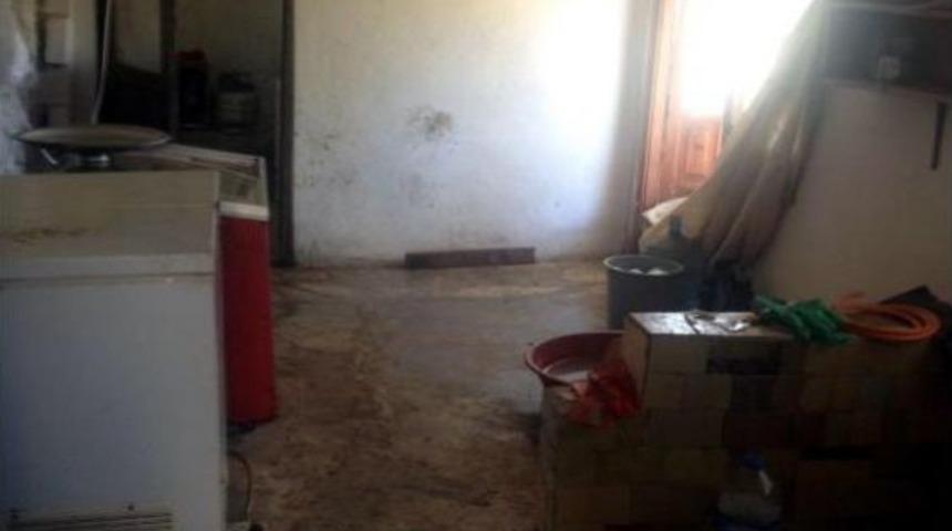 Marmaris'te 560 Kilo Bozulmuş Midye Ele Ge&ccedil;irildi