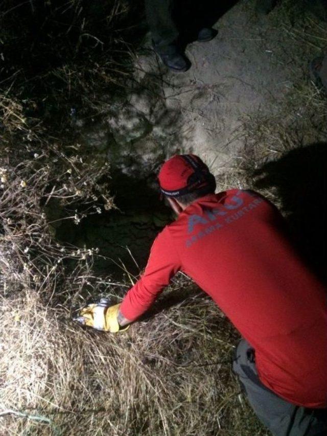 Kuyuya D&uuml;şen 2 Yaban Domuzu Kurtarılarak Doğaya Salındı 1