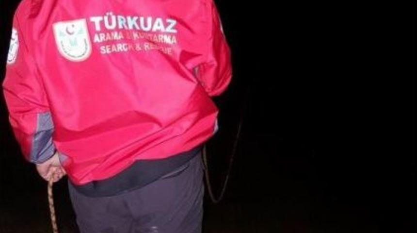 Koyunların &Ccedil;obansız D&ouml;nmesi Acı Ger&ccedil;eği Ortaya &Ccedil;ıkardı