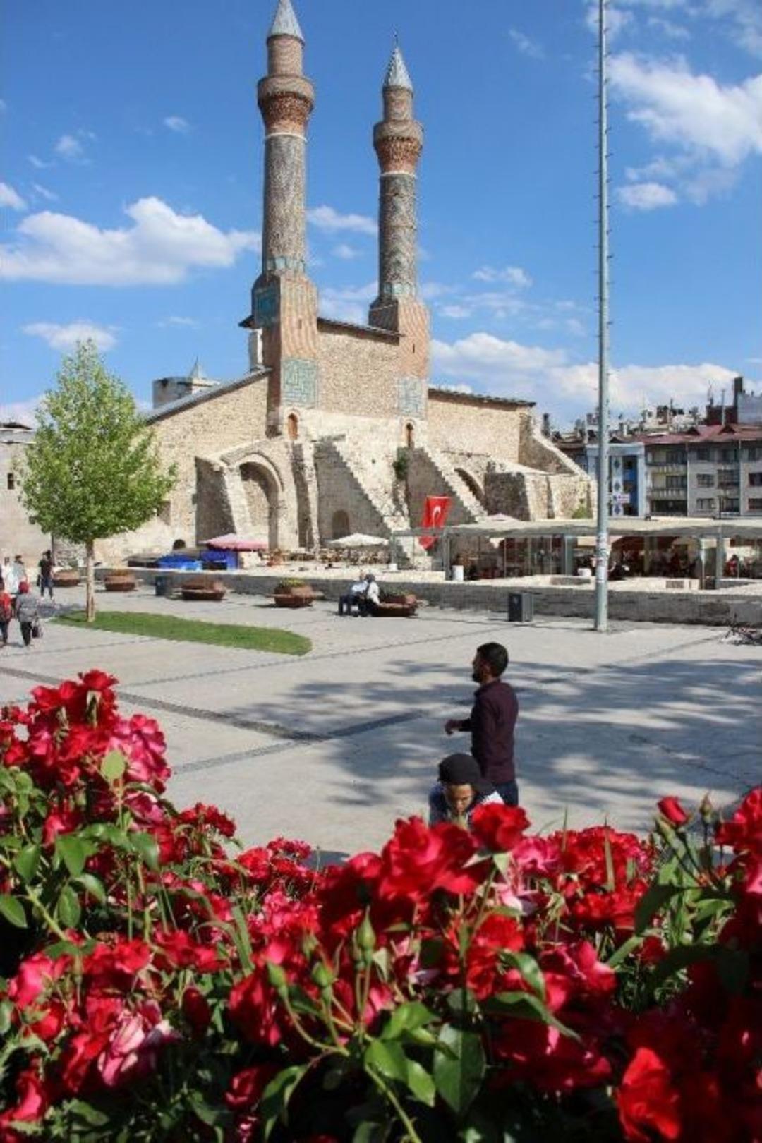 270 Bin G&uuml;l Dikildi