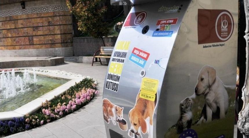 Ke&ccedil;i&ouml;ren&rsquo;de Pet Şişeler Sokak Hayvanlarını Doyuruyor